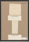 Pleurosigma sp. (de-Toni-Nr.: Genus 13) Zeichnungen Sammlung Grunow Nr. 2168 (NHMW-BOT-W0369228)